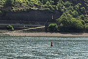IMG_0802.jpg