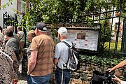 IMG_0810.jpg