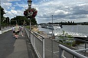 IMG_0832.jpg