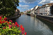 IMG_0881.jpg