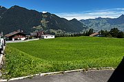 IMG_0887.jpg