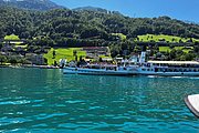 IMG_0896.jpg