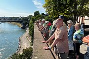 IMG_0929.jpg