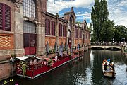 IMG_0956.jpg