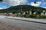 IMG_0967.jpg