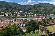 IMG_0973.jpg