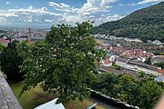 IMG_0974.jpg