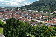 IMG_0975.jpg