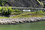 IMG_1001.jpg