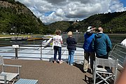 IMG_1003.jpg