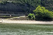 IMG_1006.jpg