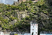 IMG_1007.jpg