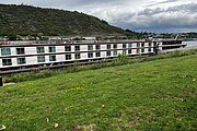 IMG_1009.jpg