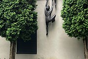 IMG_1012.jpg