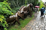 IMG_1013.jpg