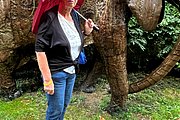 IMG_1014.jpg