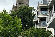 IMG_1018.jpg