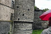 IMG_1019.jpg