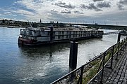 IMG_1025.jpg